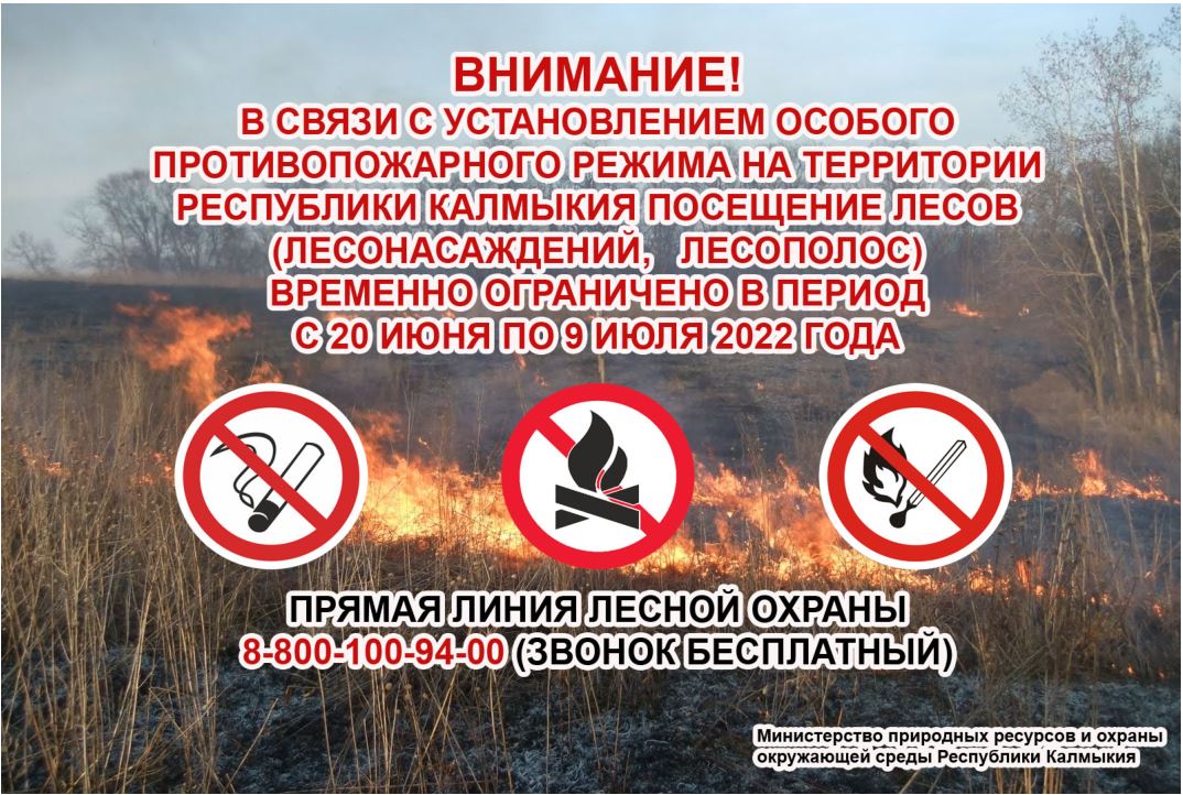 Министерство природных ресурсов и охраны окружающей среды Республики Калмыкия информирует.