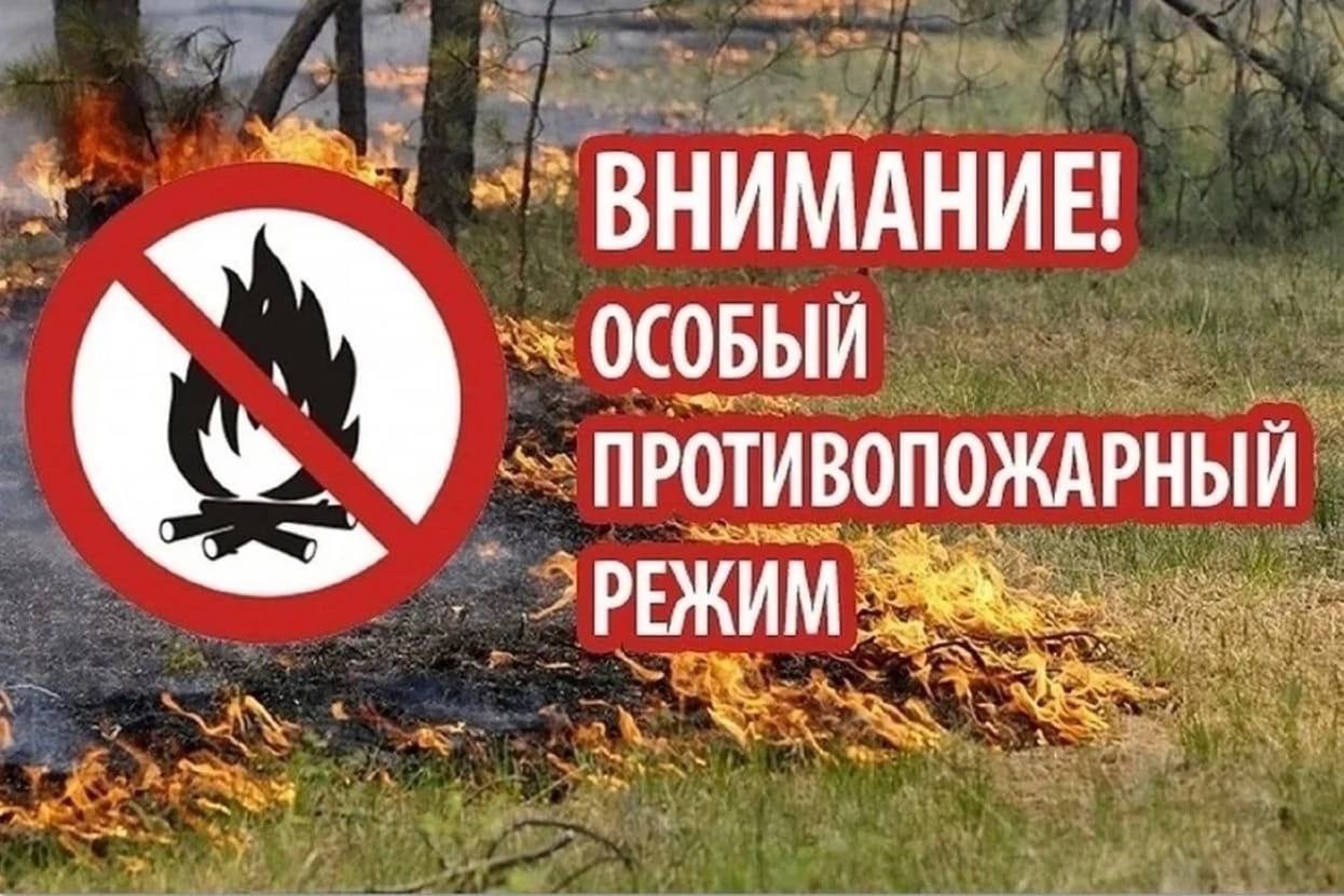 C 10 июня 2022 года на территории Калмыкии действует особый противопожарный режим.