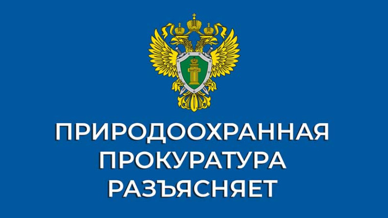 Северо-Каспийская межрайонная природоохранная прокуратура разъясняет. Северо-Каспийская межрайонная природоохранная прокуратура разъясняет.
